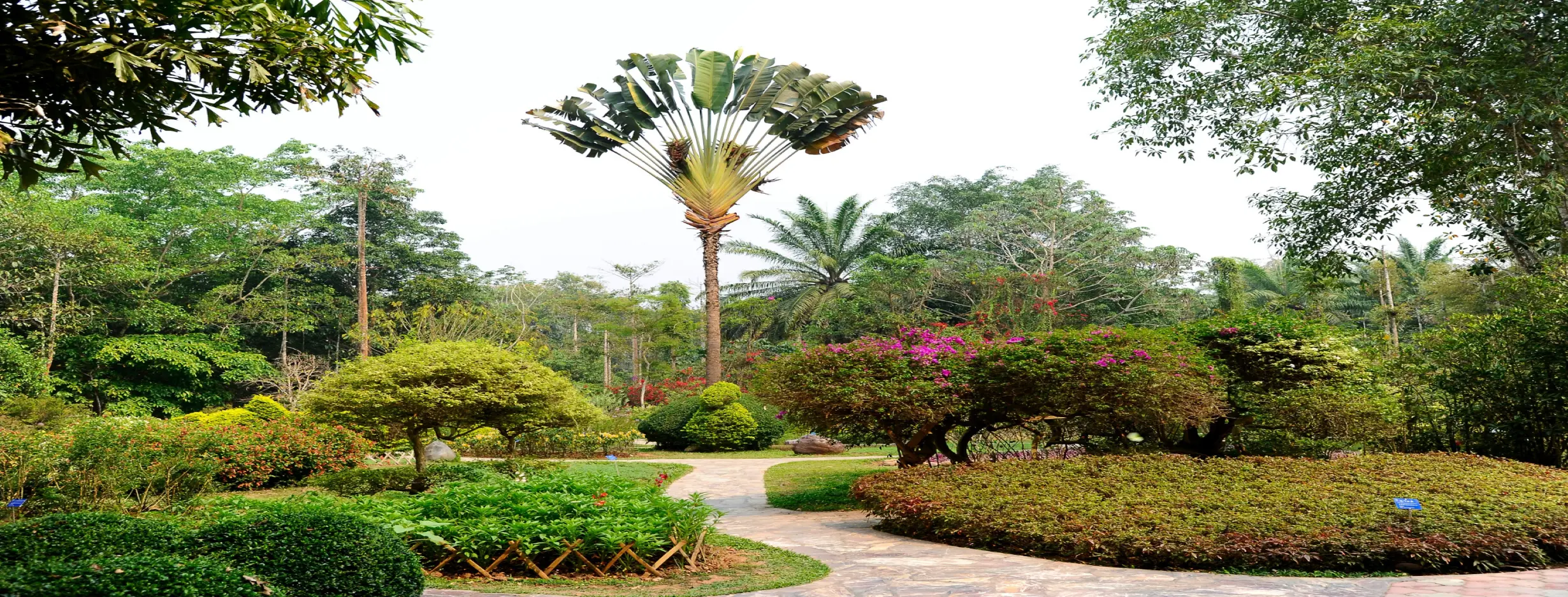 Image for Conakry Botanical Garden